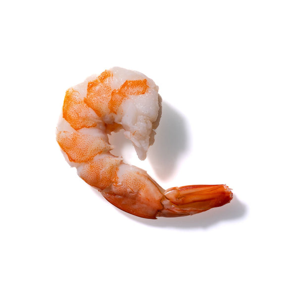 Shrimp No. 998