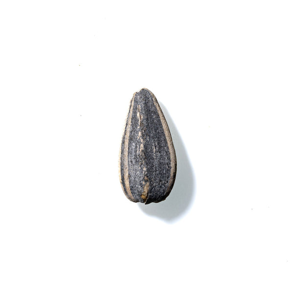 Sunflower Seed No. 180