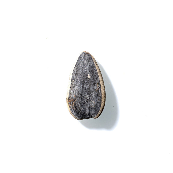 Sunflower Seed No. 182