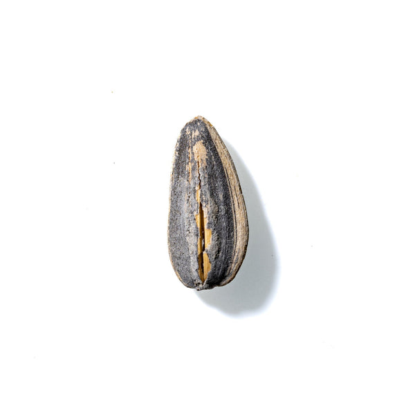 Sunflower Seed No. 183