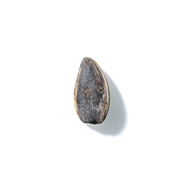 Sunflower Seed No. 184