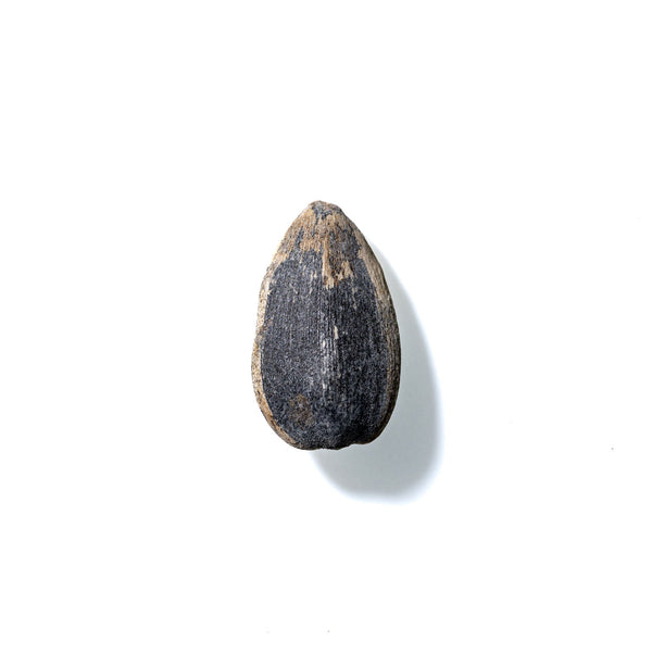 Sunflower Seed No. 195