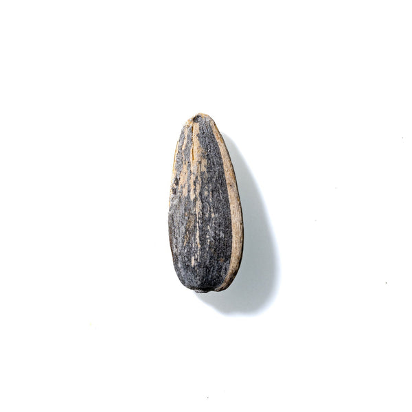 Sunflower Seed No. 196