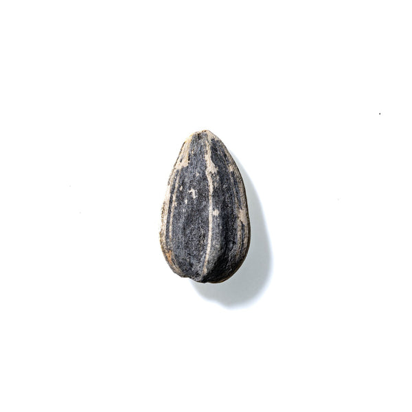 Sunflower Seed No. 207