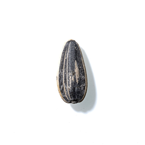 Sunflower Seed No. 224