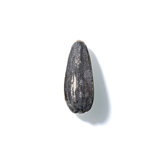 Sunflower Seed No. 232