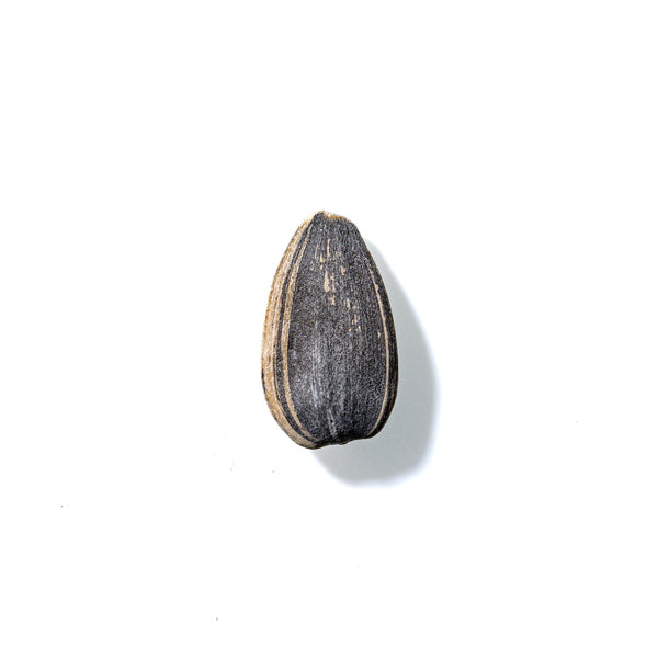 Sunflower Seed No. 249