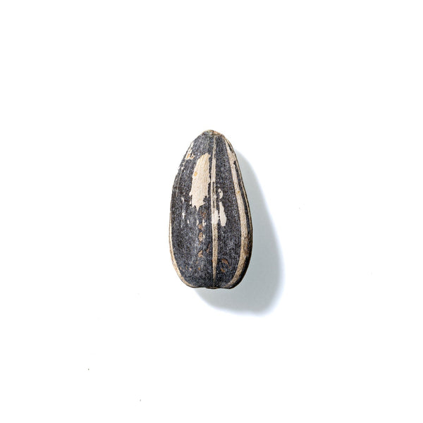 Sunflower Seed No. 251