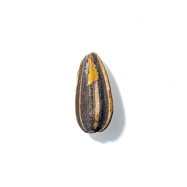 Sunflower Seed No. 263