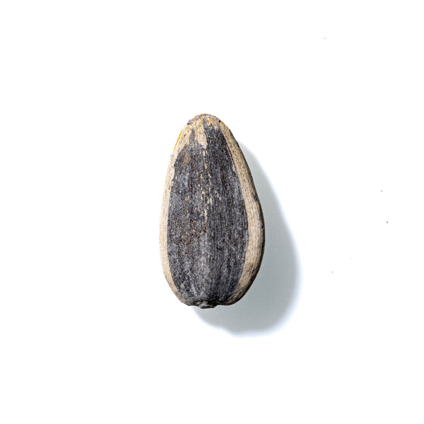 Sunflower Seed No. 266