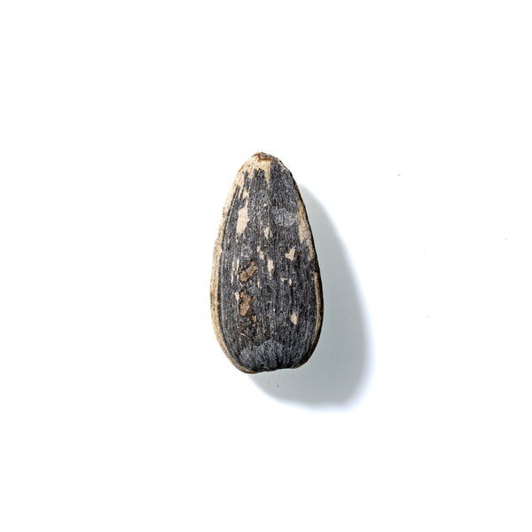 Sunflower Seed No. 270