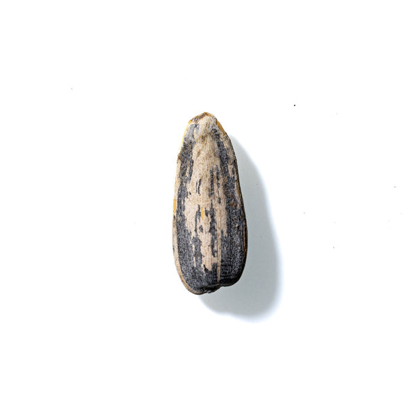 Sunflower Seed No. 271