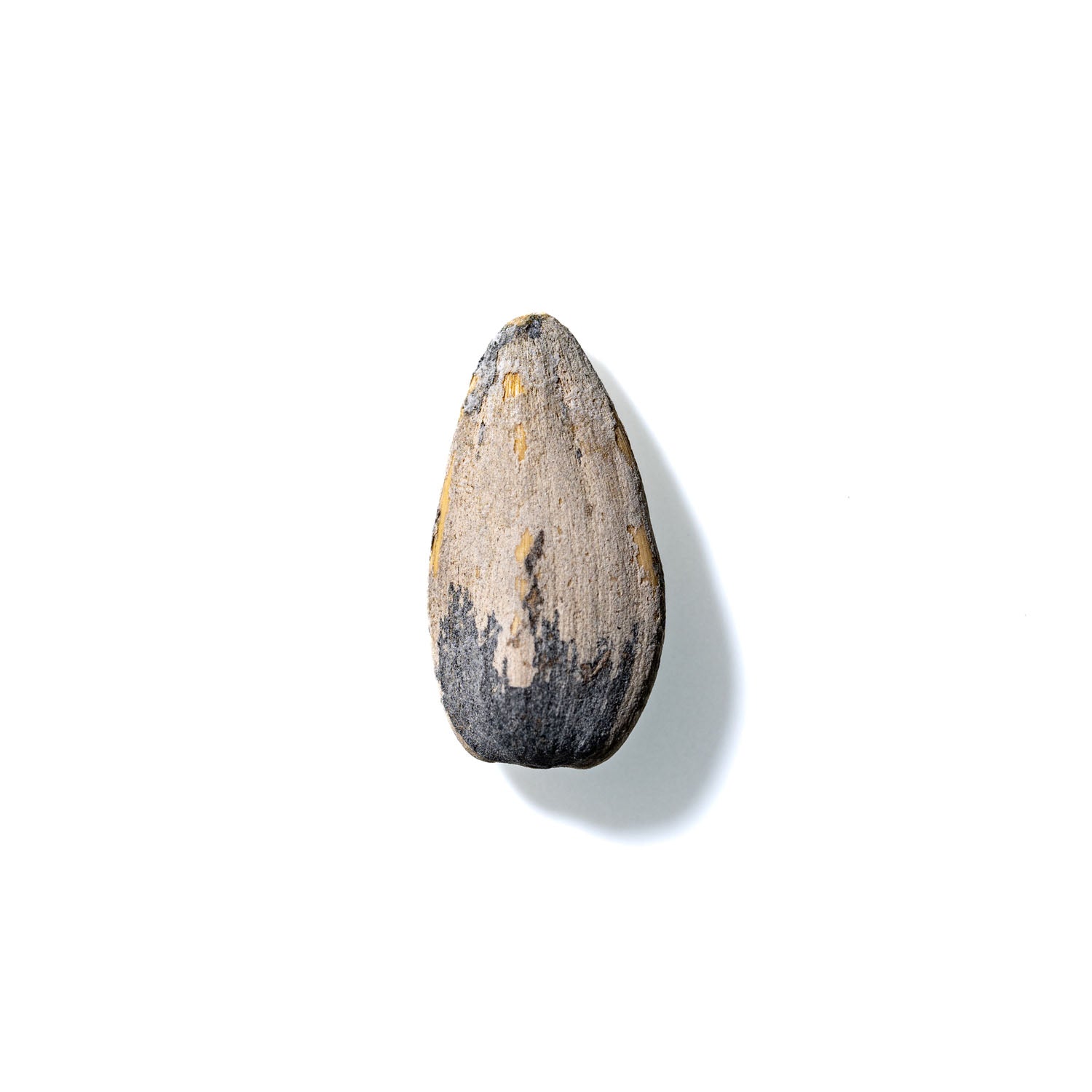 Sunflower Seed No. 315