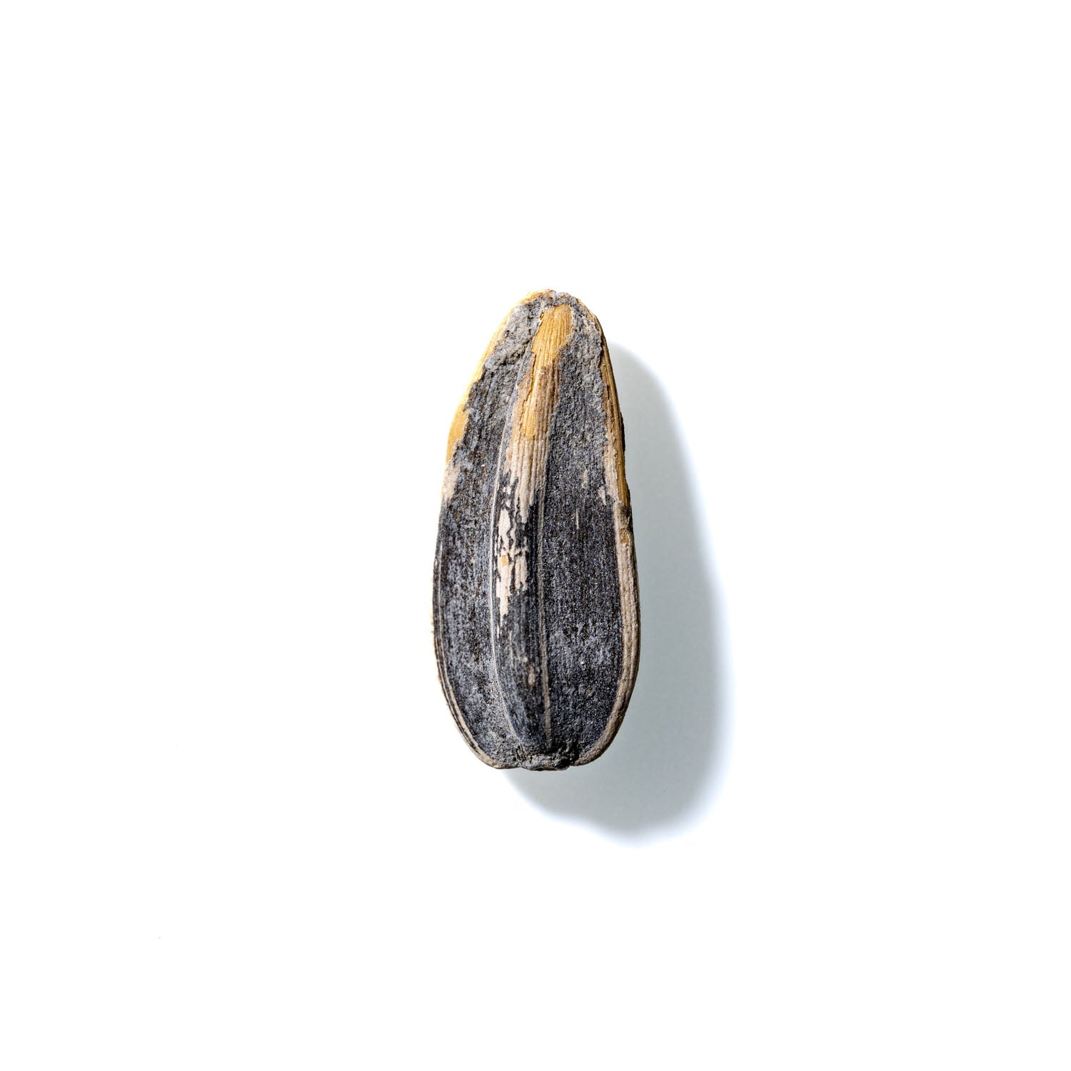 Sunflower Seed No. 345