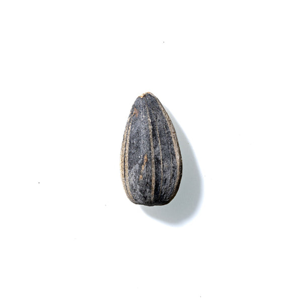 Sunflower Seed No. 360