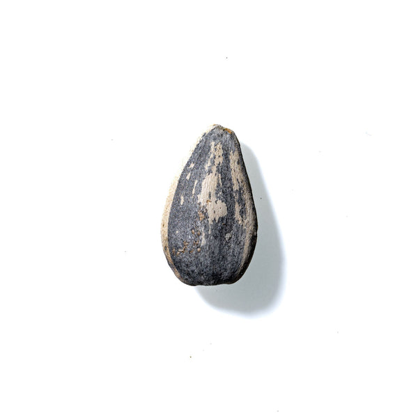 Sunflower Seed No. 362