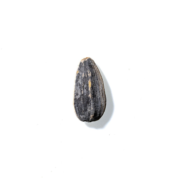 Sunflower Seed No. 367