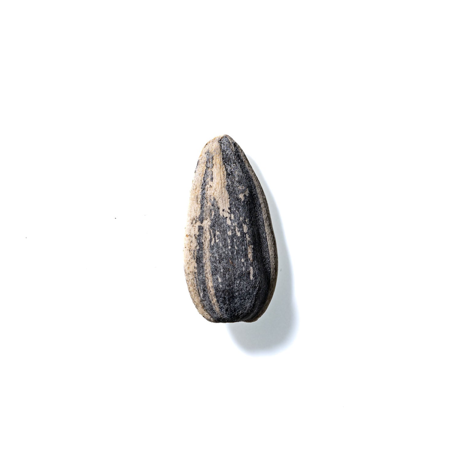 Sunflower Seed No. 372