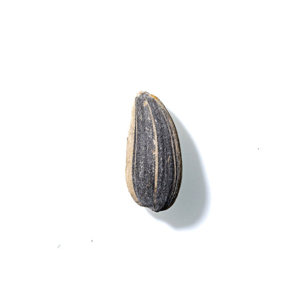 Sunflower Seed No. 376