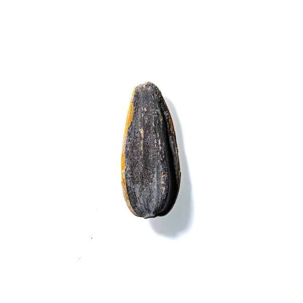 Sunflower Seed No. 379