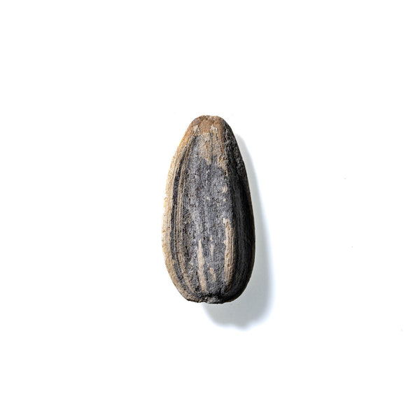 Sunflower Seed No. 386