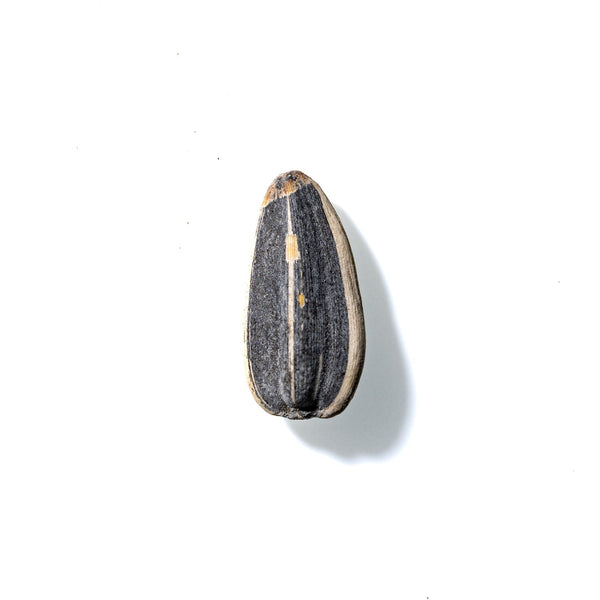 Sunflower Seed No. 394