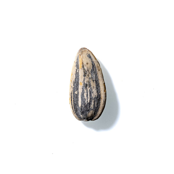 Sunflower Seed No. 407