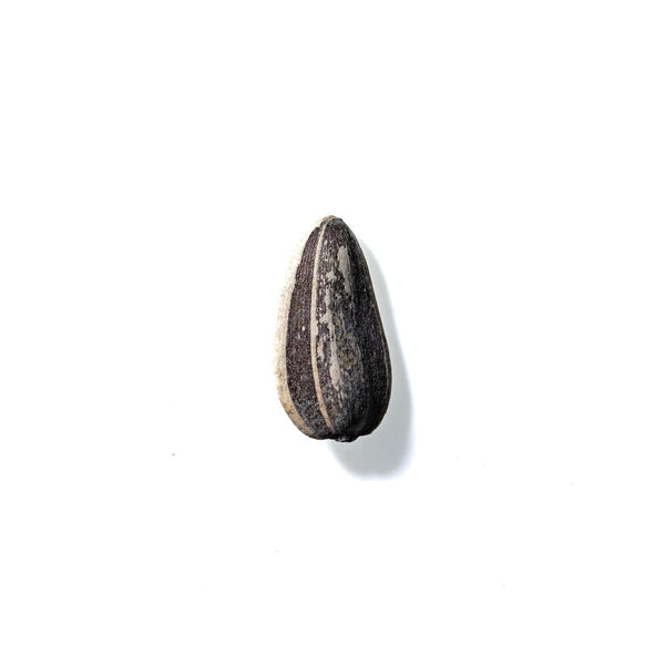 Sunflower Seed No. 412