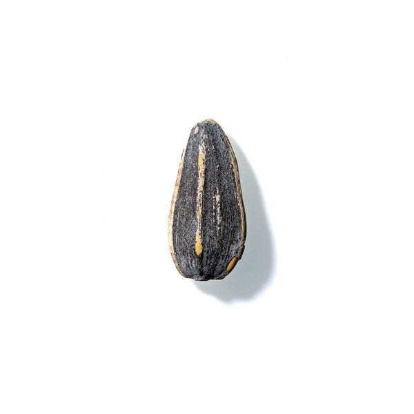 Sunflower Seed No. 426