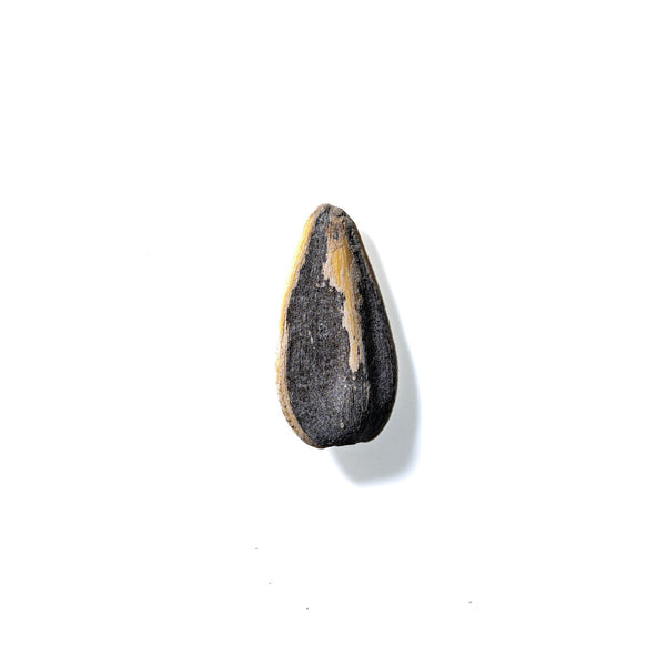 Sunflower Seed No. 433