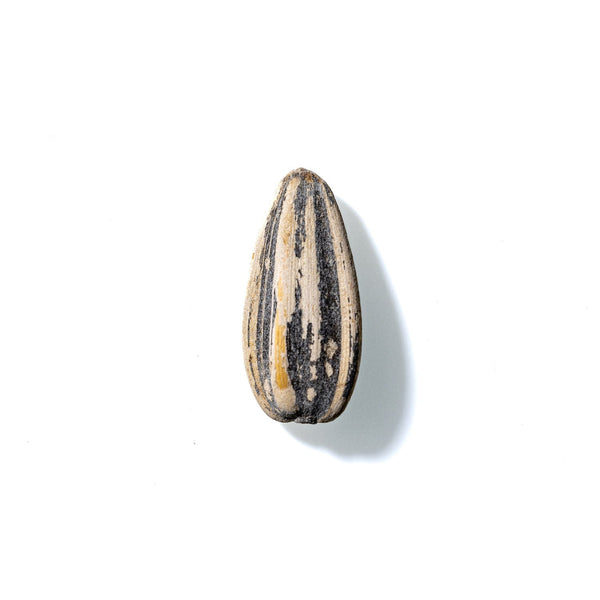 Sunflower Seed No. 596