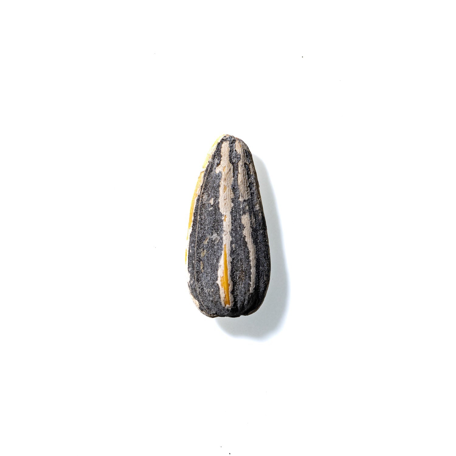 Sunflower Seed No. 619