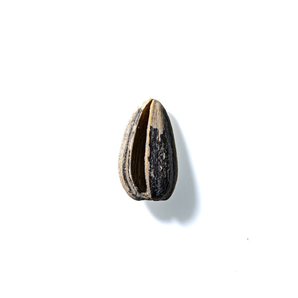 Sunflower Seed No. 624