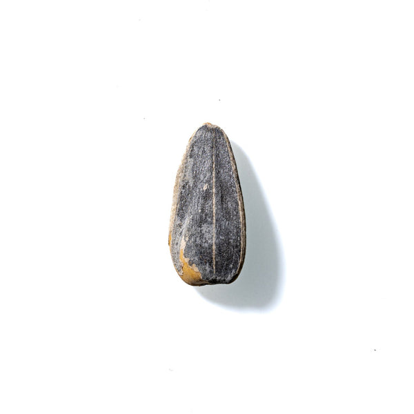 Sunflower Seed No. 643