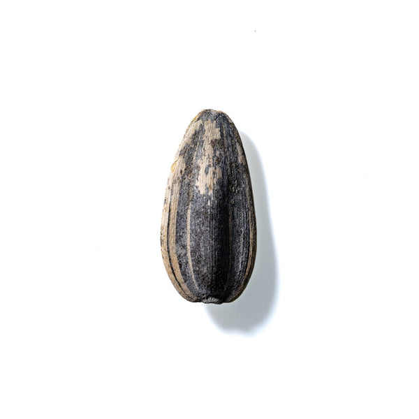 Sunflower Seed No. 648