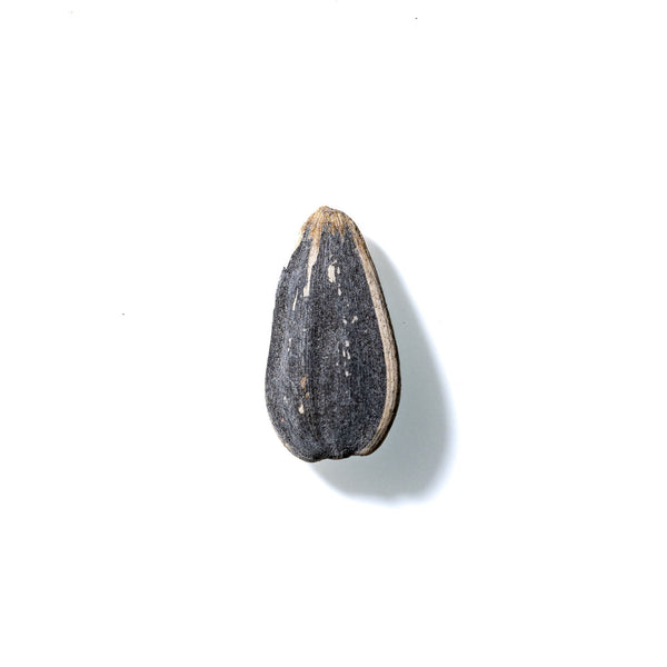 Sunflower Seed No. 656