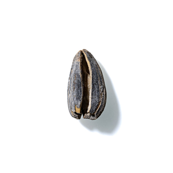 Sunflower Seed No. 665