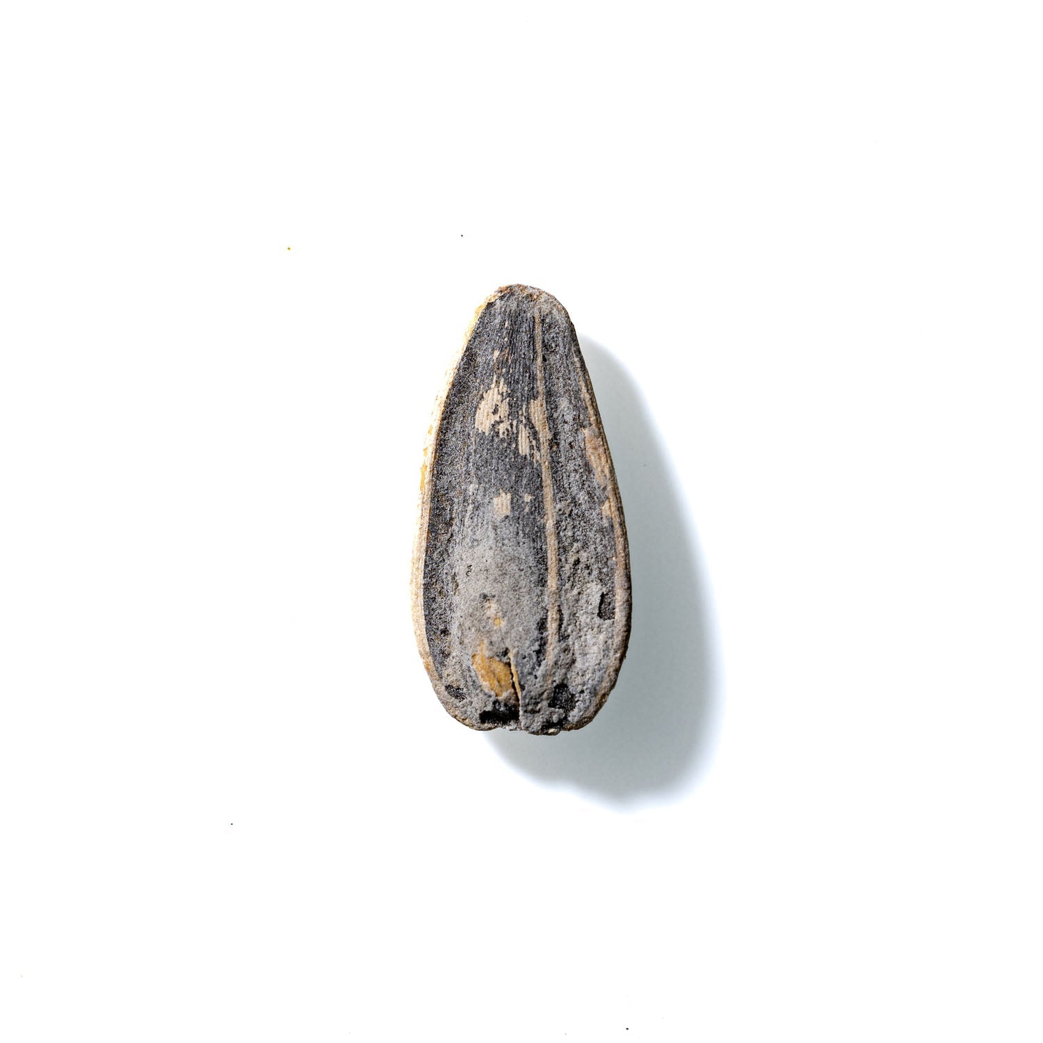 Sunflower Seed No. 672