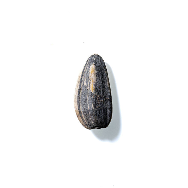 Sunflower Seed No. 673