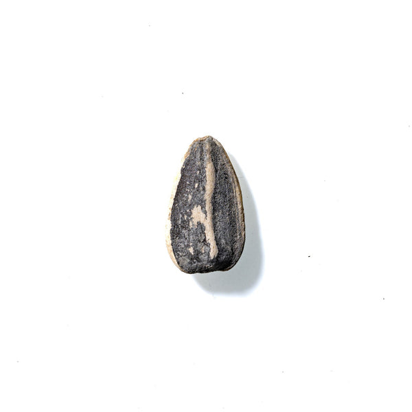 Sunflower Seed No. 676