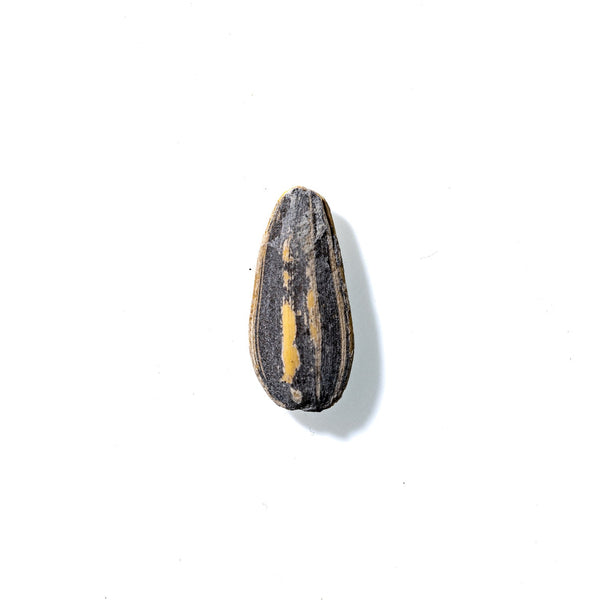 Sunflower Seed No. 679