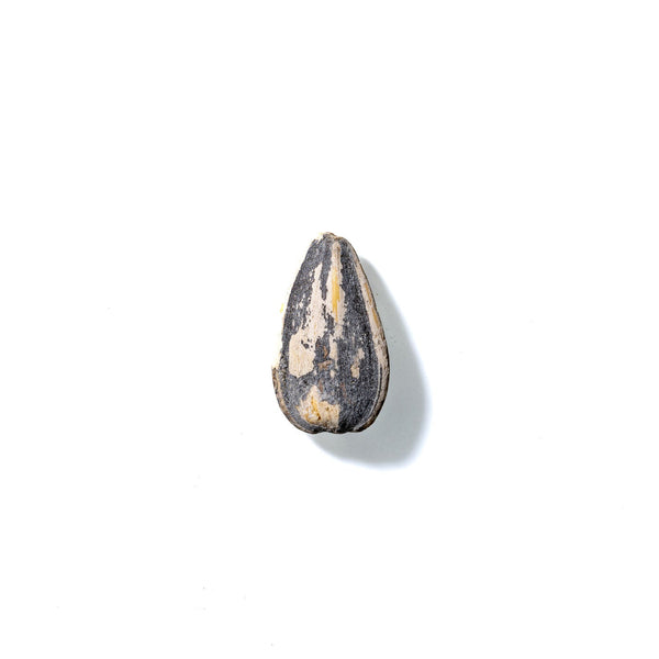 Sunflower Seed No. 688