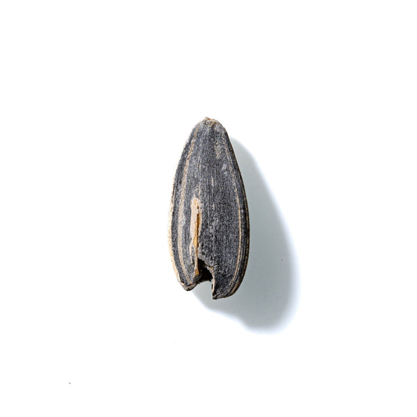 Sunflower Seed No. 696