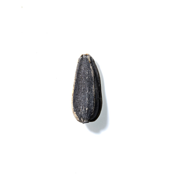 Sunflower Seed No. 724