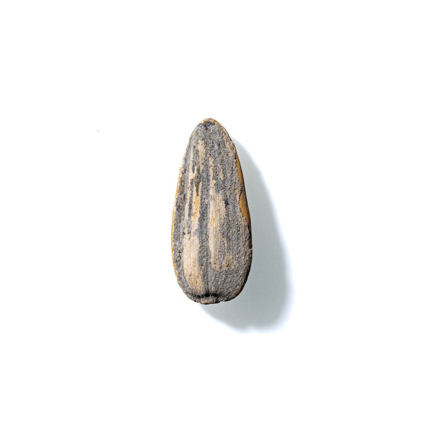 Sunflower Seed No. 757