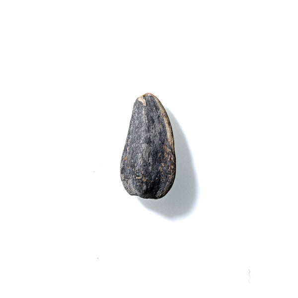 Sunflower Seed No. 810