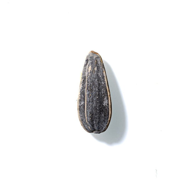 Sunflower Seed No. 820