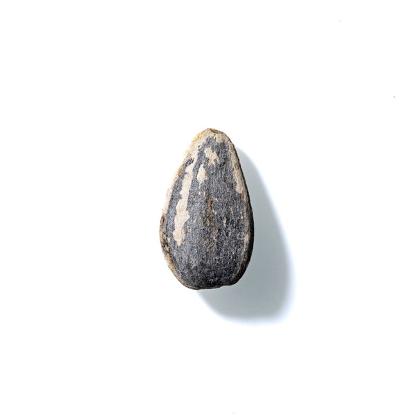 Sunflower Seed No. 879