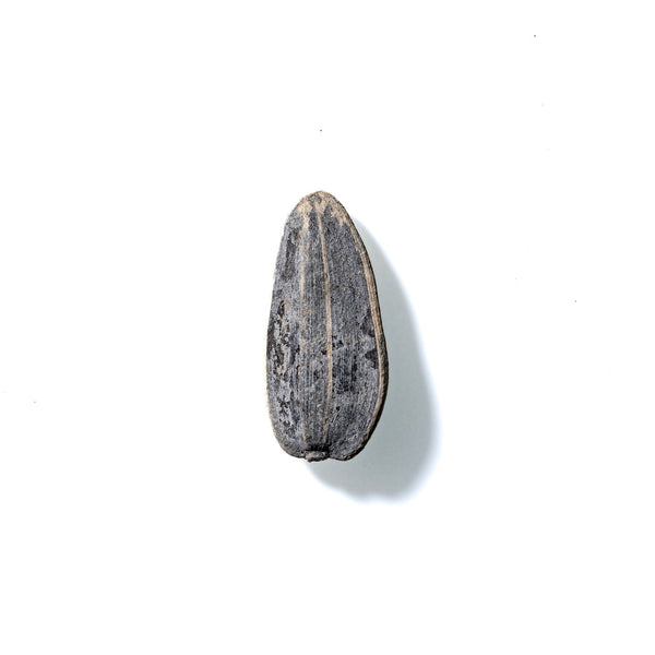 Sunflower Seed No. 902