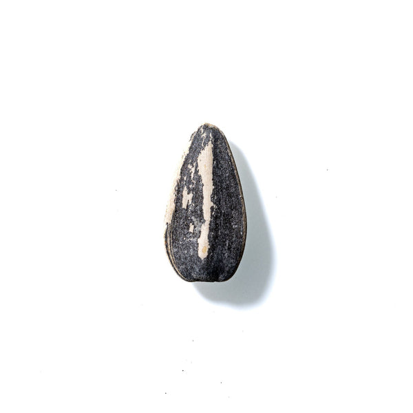 Sunflower Seed No. 924